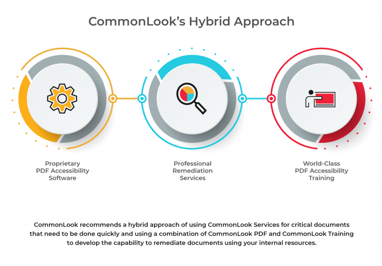 NetCentric Technologies, CommonLook - The Hybrid Solution - Software and Training, or Services, or Both - Picture